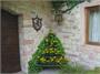 Cottage dei Fiori  5